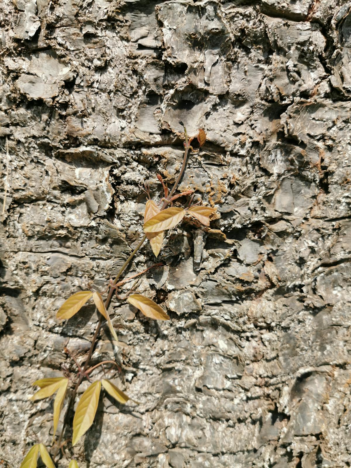 EU flag ETIAS travel