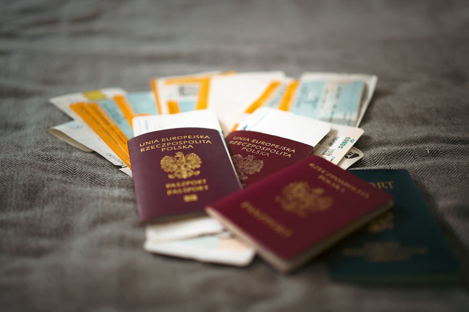 etias application for british 3