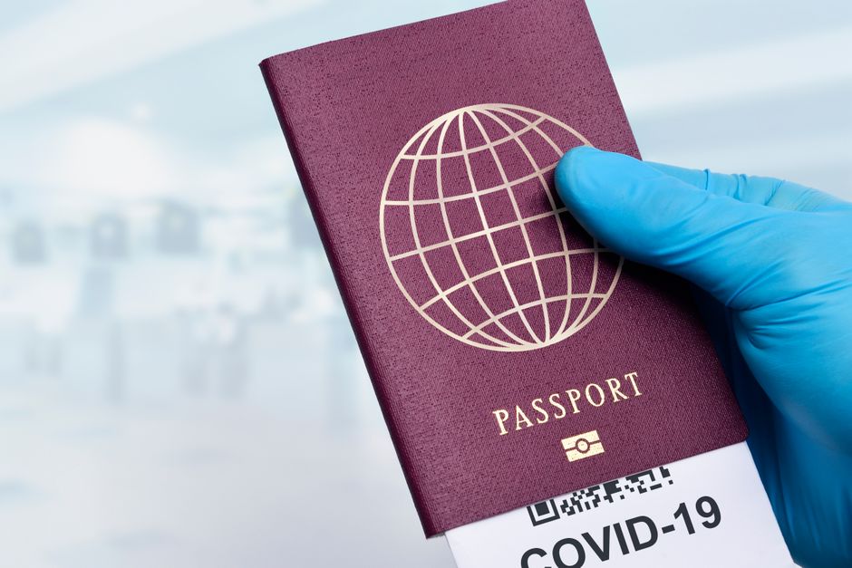 Person entering a passport number carefully into the online ETIAS application form