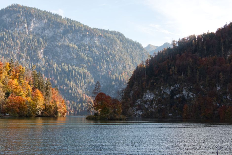 Golden autumn foliage in the Bavarian Alps in October