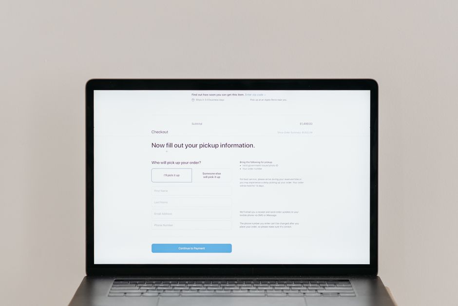 Traveller comparing a passport photo page with details entered on a laptop